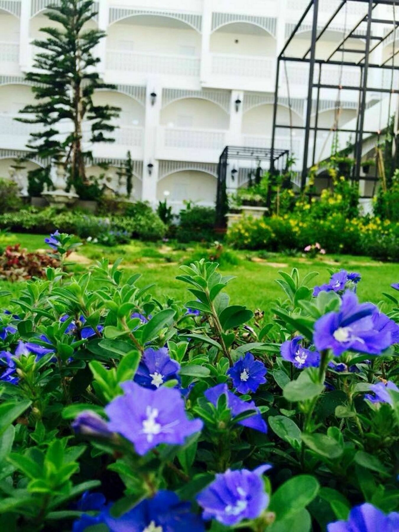 فندق بوتيك كوراناري كورتيارد ناخون راتشاسيما المظهر الخارجي الصورة